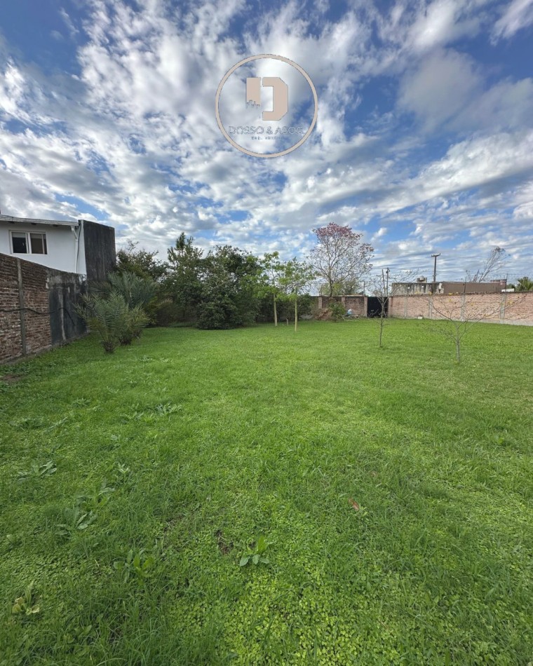 Carlos Corsi 450 — Un pedazo de naturaleza en el corazon de la ciudad