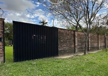 Carlos Corsi 450 — Un pedazo de naturaleza en el corazon de la ciudad